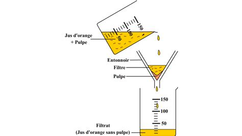  L'Arque: Un Maîtrise de la Filtration et un Décorateur d'Étangs Subaquatiques !